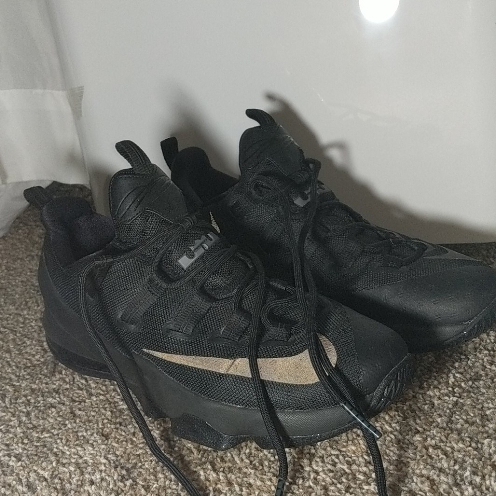 LeBron 13 size 11 "low"